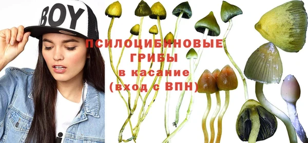 mix Дмитров