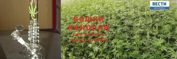 каннабис Дмитриев