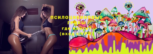 каннабис Дмитриев