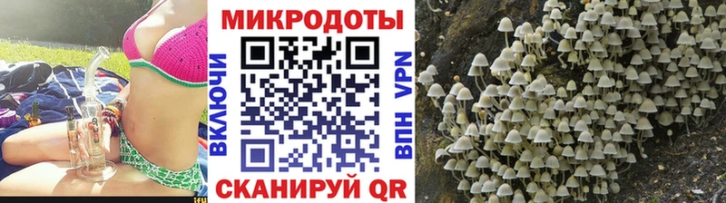 Галлюциногенные грибы GOLDEN TEACHER  Купить закладки  Динская 